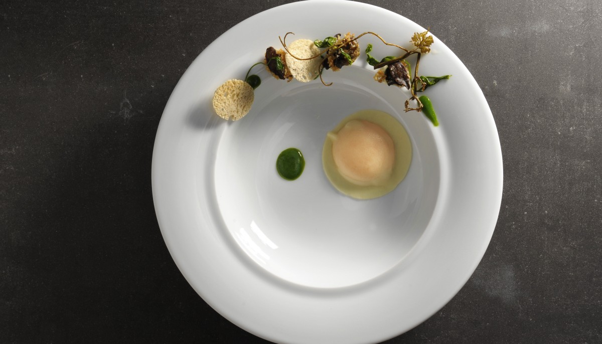 κρασί, οινοπαραγωγοί, δοκιμές, ετικέτες, Album | The Food & Leisure Guide