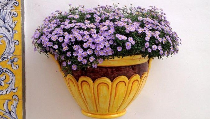 Sweet Capri Album | The Food & Leisure Guide