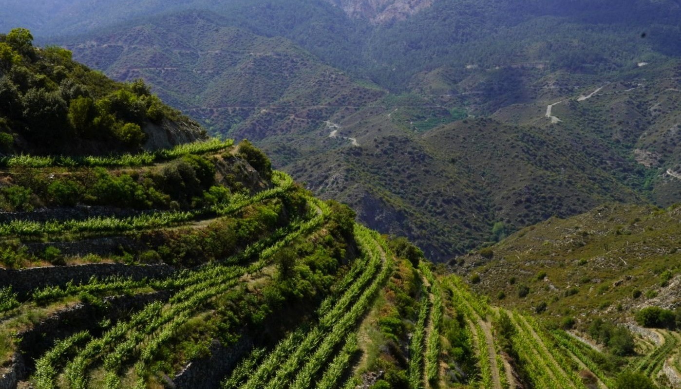 ΚΥΠΡΟΣ, ΤΟ ΑΠΟΛΥΤΟ ΟΙΝΙΚΟ ΠΑΚΕΤΟ (ΜΕΡΟΣ 1Ο) | Θέματα