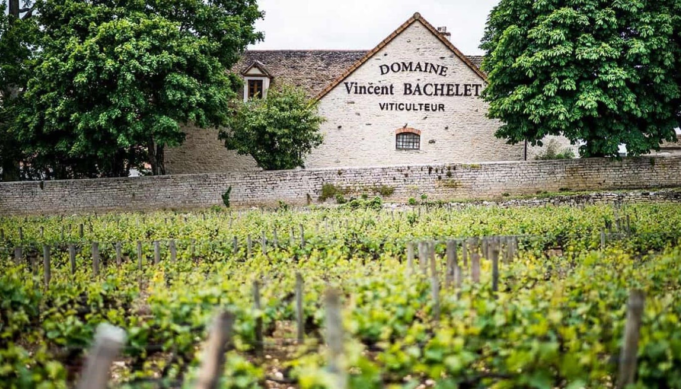 WINEBOU: ΜΠΟΥΟΥΟΥΟΥΟΥΟΥΟΥ, ΤΑ ΘΕΛΩ ΟΛΑ! | Θέματα