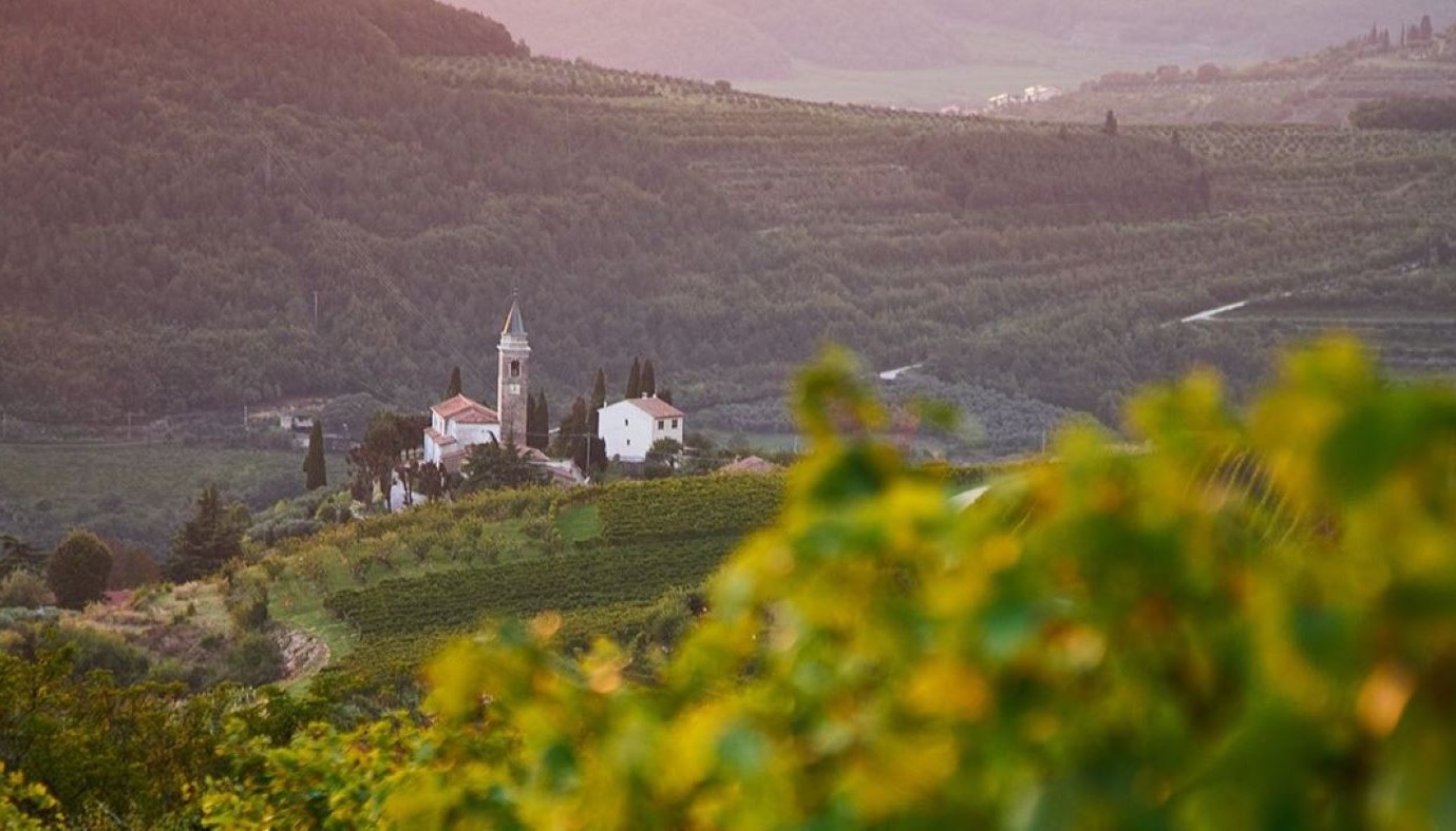GINI, ΕΝΑ ΒΕΡΟΝΕΖΙΚΟ ΤΖΙΝΙ ΣΤΗ ΦΙΑΛΗ! | Θέματα