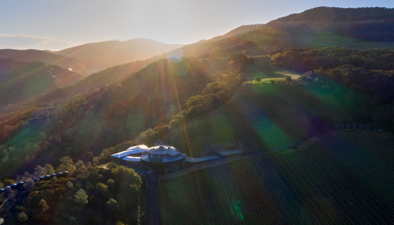 NICLIANI CELLARS 2026, ΠΥΡΓΟΚΑΤΟΙΚΙΑ ΣΠΟΥΔΑΙΩΝ ΚΡΑΣΙΩΝ! | Θέματα