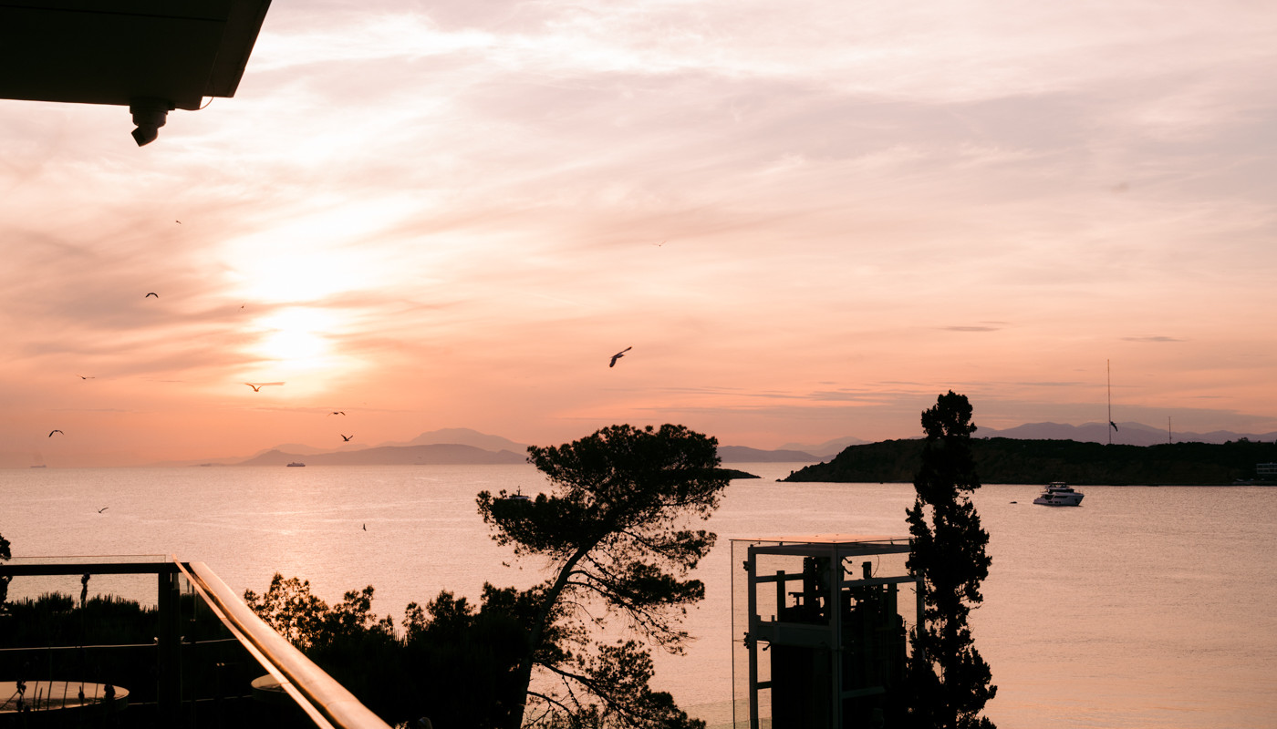 Fine White Wines 2026 Pelagos | The Food & Leisure Guide