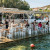 Αχλάδι-Fish Taverna, μια ψαροταβέρνα που ξεχωρίζει στην Σύρο